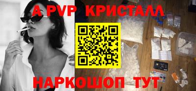 jwh Кингисепп