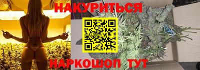 jwh Кингисепп
