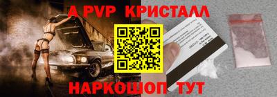 jwh Кингисепп