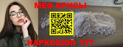 jwh Кингисепп