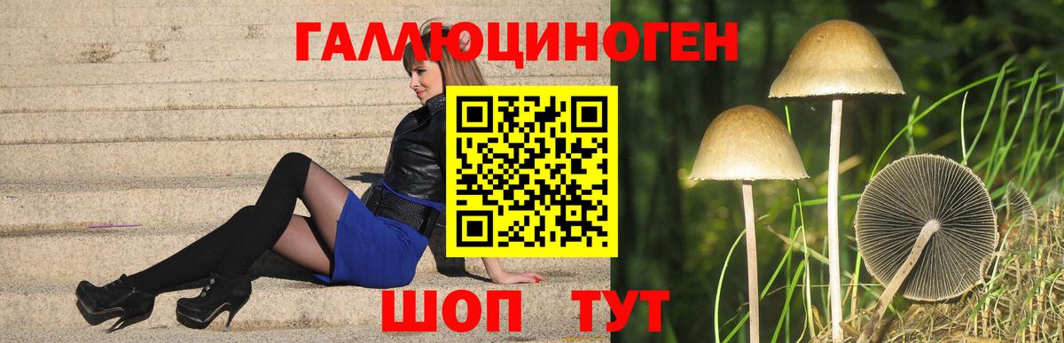 Псилоцибиновые грибы GOLDEN TEACHER Комсомольск-на-Амуре